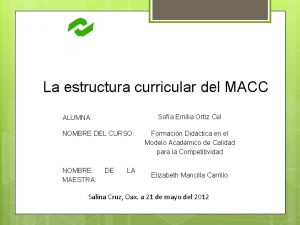 La estructura curricular del MACC Sofa Emilia Ortiz