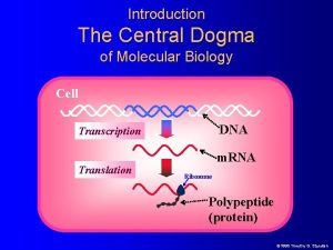 Introduction The Central Dogma of Molecular Biology Cell