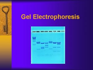 Gel Electrophoresis What is Gel Electrophoresis Gel electrophoresis