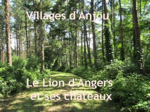 Villages dAnjou Le Lion dAngers et ses chteaux