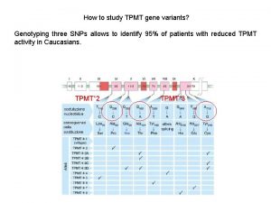 How to study TPMT gene variants Genotyping three