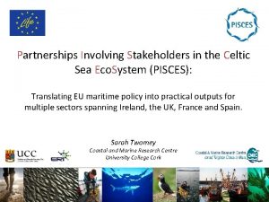 Partnerships Involving Stakeholders in the Celtic Sea Eco