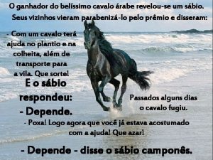 ganhador do belssimo cavalo rabe revelouse um sbio