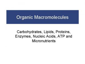 Organic Macromolecules Carbohydrates Lipids Proteins Enzymes Nucleic Acids