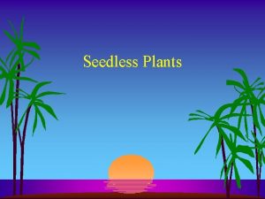 Seedless Plants Plant Evolution Plant Evolution Nonvascular Seedless