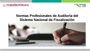 Normas Profesionales de Auditora del Sistema Nacional de