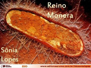 Reino Monera Snia Lopes Clula bacteriana Membrana plasmtica