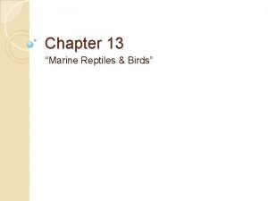 Chapter 13 Marine Reptiles Birds 13 1 Marine