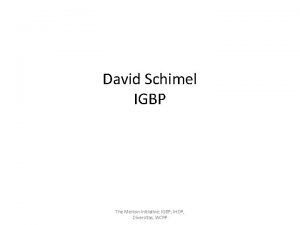 David Schimel IGBP The Merton Initiative IGBP IHDP