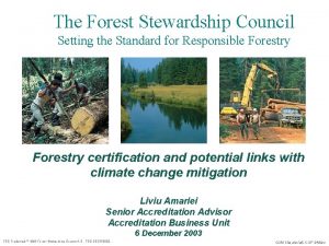 The Forest Stewardship Council Setting the Standard for