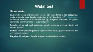 Widal test Salmonella sp are gramnegative bacilli nonsporeforming