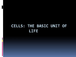 CELLS THE BASIC UNIT OF LIFE Every living