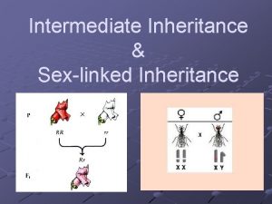 Intermediate Inheritance Sexlinked Inheritance What is Intermediate Inheritance