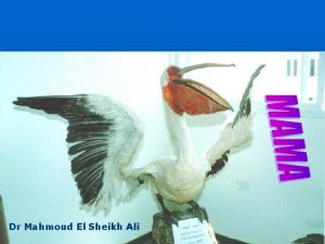 Dr Mahmoud El Sheikh Ali World GOOS REGIONS
