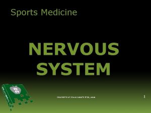 Sports Medicine NERVOUS SYSTEM PROPERTY OF PIMA COUNTY