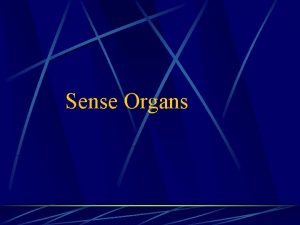 Sense Organs Sensory Receptors They make it possible