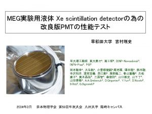 R 6041 06 PMT Size PhotoCathode Material Active