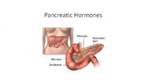 Pancreatic Hormones Pancreas The pancreas is both an