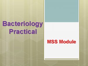 Bacteriology Practical MSS Module Catalase Test Catalase decomposes