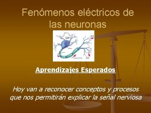 Fenmenos elctricos de las neuronas Aprendizajes Esperados Hoy