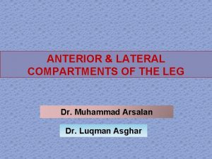ANTERIOR LATERAL COMPARTMENTS OF THE LEG Dr Muhammad