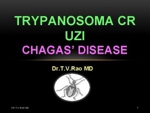 TRYPANOSOMA CR UZI CHAGAS DISEASE Dr T V