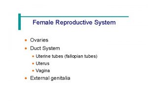 Female Reproductive System Ovaries Duct System Uterine tubes