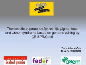 Therapeutic approaches for retinitis pigmentosa and Usher syndrome