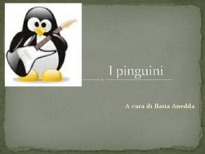 I pinguini A cura di Ilaria Anedda Lorigine