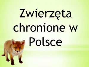 Zwierzta chronione w Polsce Rzekotka drzewna to aba