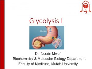 Glycolysis I Dr Nesrin Mwafi Biochemistry Molecular Biology