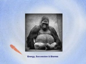 Energy Succession Biomes Chapter 8 Biomes Earths Biomes