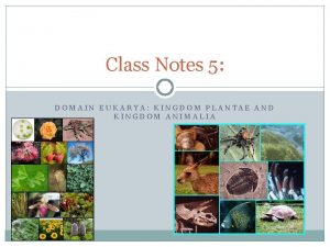 Class Notes 5 DOMAIN EUKARYA KINGDOM PLANTAE AND