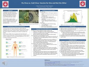 Flu Virus vs Cold Virus Vaccine for One