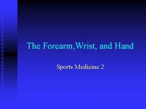 The Forearm Wrist and Hand Sports Medicine 2