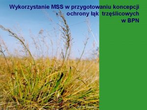 Wykorzystanie MSS w przygotowaniu koncepcji ochrony k trzlicowych