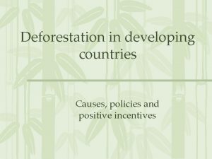 Deforestation in developing countries Causes policies and positive