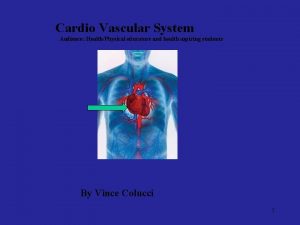 Cardio Vascular System Audience HealthPhysical educators and health