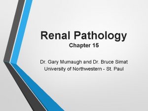 Renal Pathology Chapter 15 Dr Gary Mumaugh and