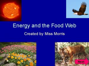 Energy and the Food Web Created by Miss