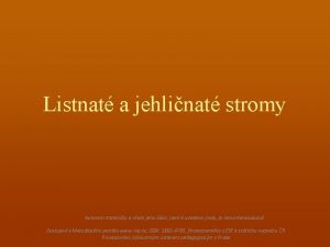 Listnat a jehlinat stromy Autorem materilu a vech