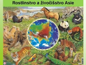 Rostlinstvo a ivoistvo Asie Asie m velkou rozlohu