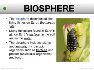 BIOSPHERE The biosphere describes all the living things