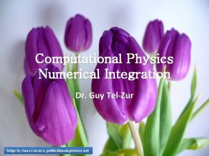 Computational Physics Numerical Integration Dr Guy TelZur Tulips