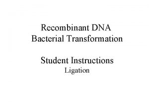 Recombinant DNA Bacterial Transformation Student Instructions Ligation Recombinant