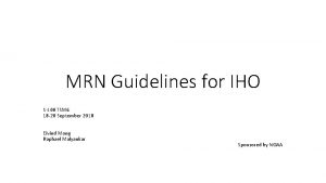 MRN Guidelines for IHO S100 TSM 6 18