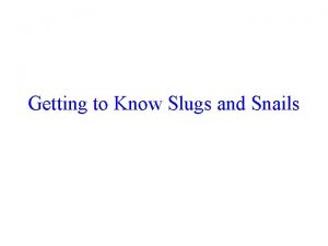 Getting to Know Slugs and Snails Slugs and