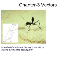 Chapter3 Vectors How does the ant know the