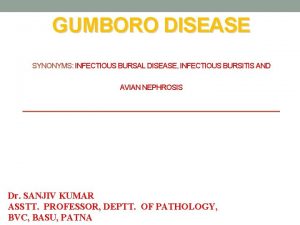 GUMBORO DISEASE SYNONYMS INFECTIOUS BURSAL DISEASE INFECTIOUS BURSITIS