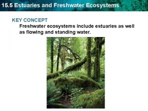 15 5 Estuaries and Freshwater Ecosystems KEY CONCEPT